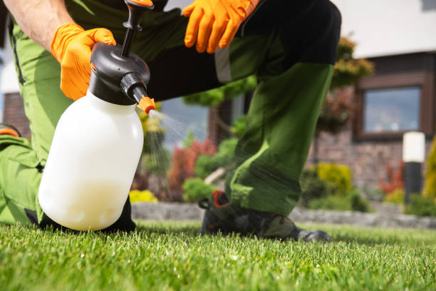 Best Commercial Pest Control Services  in Costa Mesa, CA