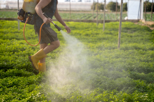  Costa Mesa, CA Pest Control Pros