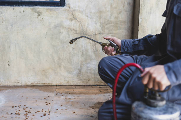 Best Emergency Pest Control  in Costa Mesa, CA